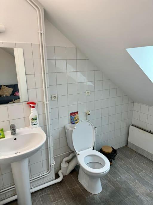 Superbe Appartement Tres Calme Et Confortable Reims Dış mekan fotoğraf